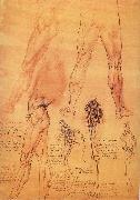 Leonardo Da Vinci Muscles and bone of leg and Hufte oil painting